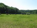 Ferme 019